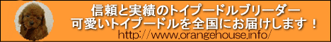 �g�C�v�[�h���̃y�b�g�V���b�v���u���[�_�[