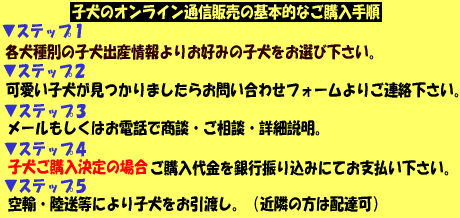 �ʔ̂ł̎q�����w���菇